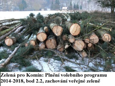obnova_zelene_v_komine6.jpg (181.61 KiB) Zobrazeno 27050 krát obnova_zelene_v_komine6.jpg