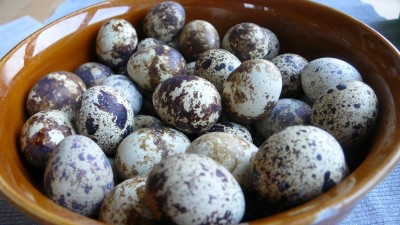 P1020989.JPG (139.34 KiB) Zobrazeno 24523 krát P1020989.JPG