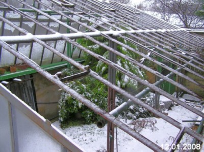 PC120013.jpg (118.87 KiB) Zobrazeno 33185 krát PC120013.jpg