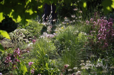 skalka.jpg (120.94 KiB) Zobrazeno 14600 krát skalka.jpg