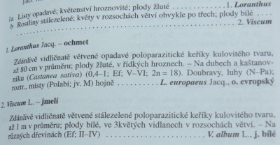 jmelí1.jpg (109.86 KiB) Zobrazeno 6171 krát jmelí1.jpg