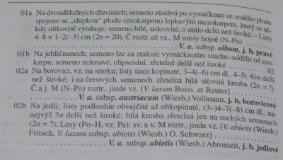 jmelí2.jpg (129.3 KiB) Zobrazeno 6169 krát jmelí2.jpg