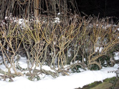 plot 2.jpg (148.73 KiB) Zobrazeno 18873 krát plot 2.jpg