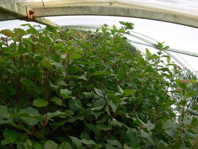 tr7.jpg (139.44 KiB) Zobrazeno 26824 krát tr7.jpg