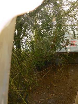 tr8.jpg (195.21 KiB) Zobrazeno 26819 krát tr8.jpg