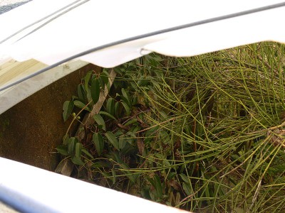 tr9.jpg (149.06 KiB) Zobrazeno 26824 krát tr9.jpg