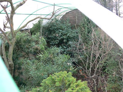 tr10.jpg (216.93 KiB) Zobrazeno 26824 krát tr10.jpg