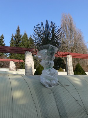 tr11.jpg (114.58 KiB) Zobrazeno 26808 krát tr11.jpg