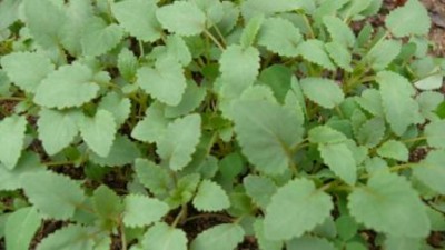 P1040523.JPG (34.22 KiB) Zobrazeno 17734 krát P1040523.JPG