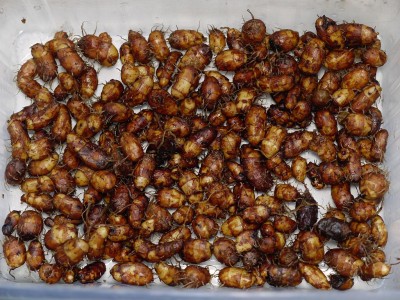 P1050616.JPG (216 KiB) Zobrazeno 19040 krát P1050616.JPG