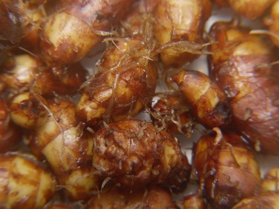 P1050620.JPG (105.28 KiB) Zobrazeno 19041 krát P1050620.JPG